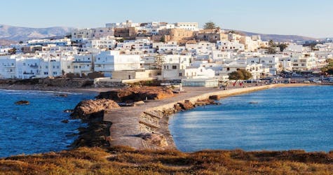 Tour guidato privato dei momenti salienti di Naxos con degustazione di olio d’oliva